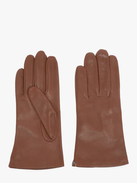 Gloves Isotoner Brown women gloves 68285