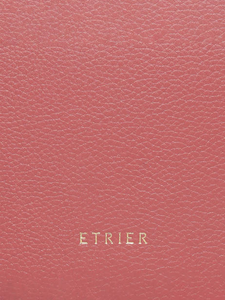 Sac Bandoulière M Tradition Cuir Etrier Rose tradition ETRA102M vue secondaire 5
