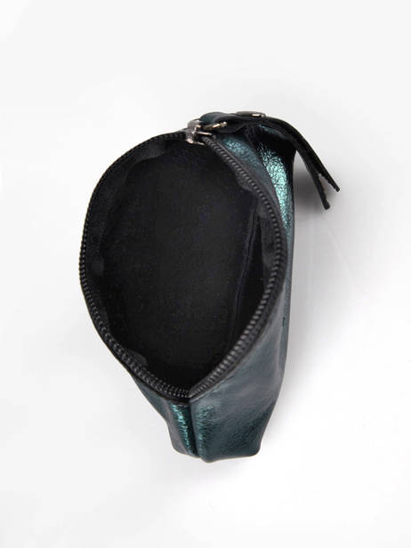 Trousse Xs Etincelle IrisÃ©e Cuir Etrier Vert etincelle irisee EETI651 vue secondaire 1